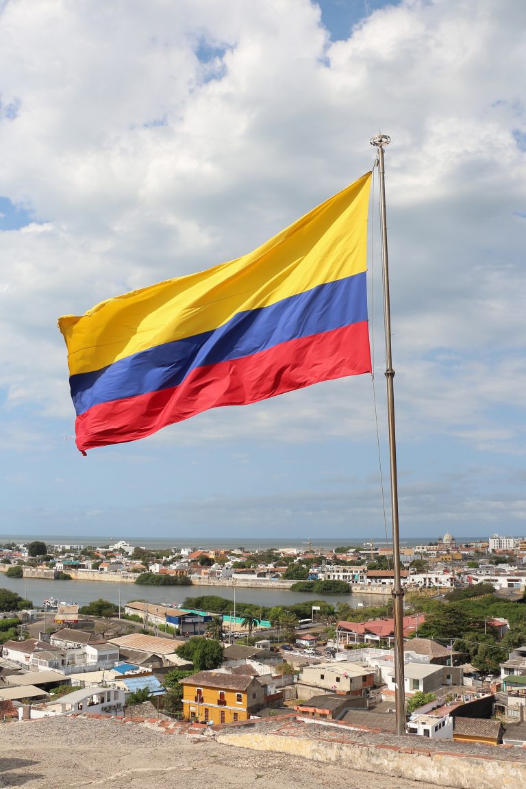 Captura de pantalla del sitio web oficial de Coljuegos para verificación de licencias, con el logo de Coljuegos y la bandera de Colombia.